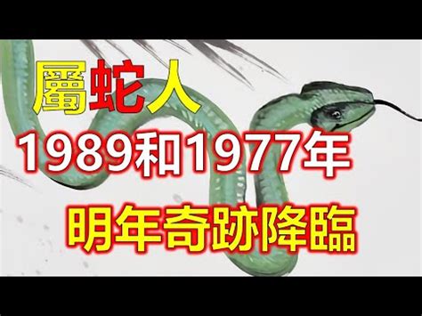 1989年是什么命|1989年出生是什么命？(土蛇之命)